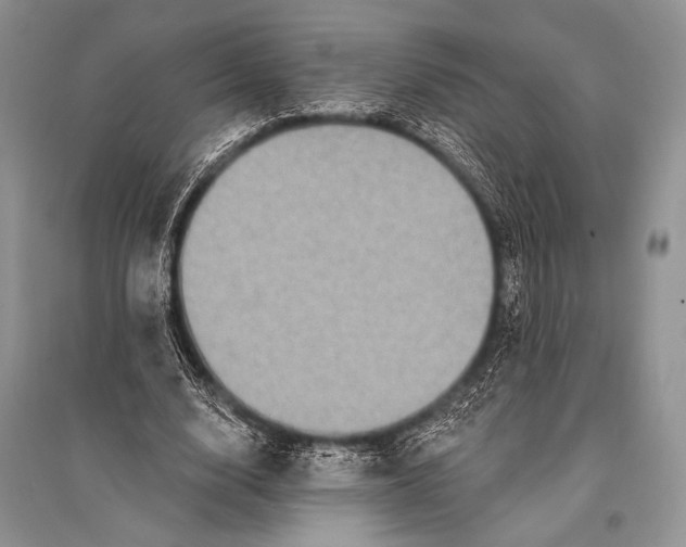 X0000094920632200712201220