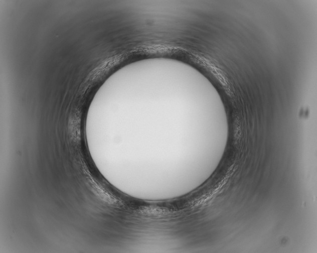 X0000094920633200712201220