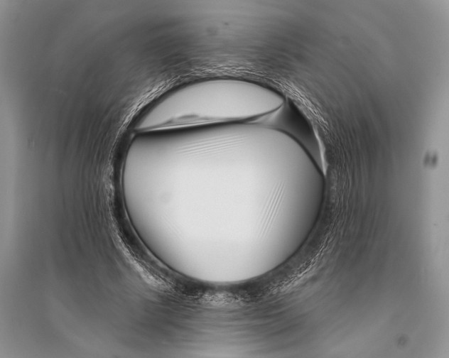 X0000094920634200712201220