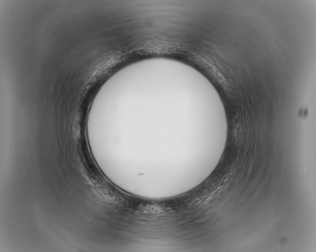 X0000094920635200712201220