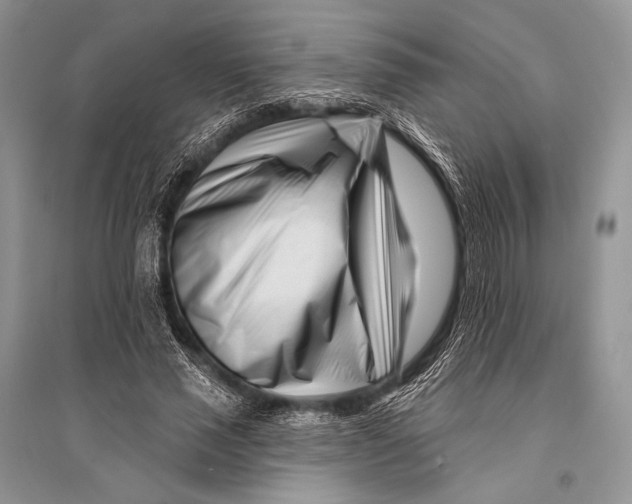 X0000094920637200712201220