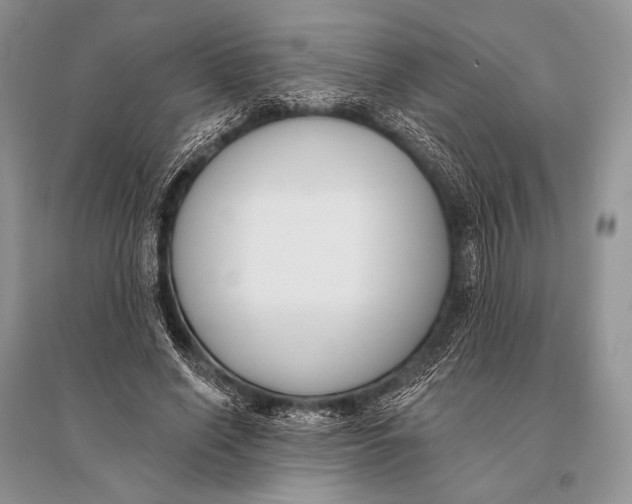 X0000094920638200712201220
