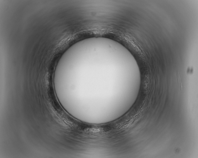 X0000094920639200712201220