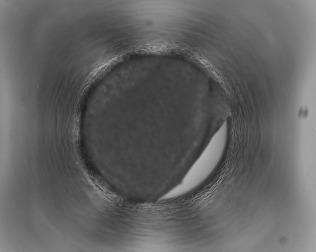 X0000094920640200712201220