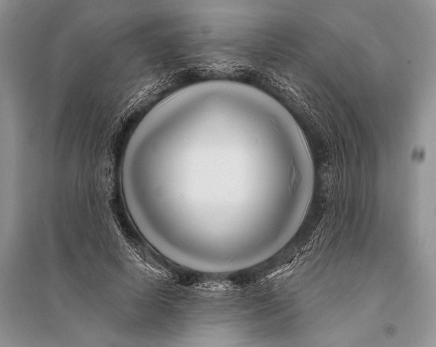 X0000094920642200712201221