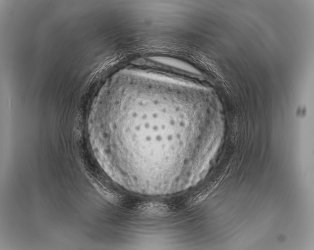 X0000094920644200712201221