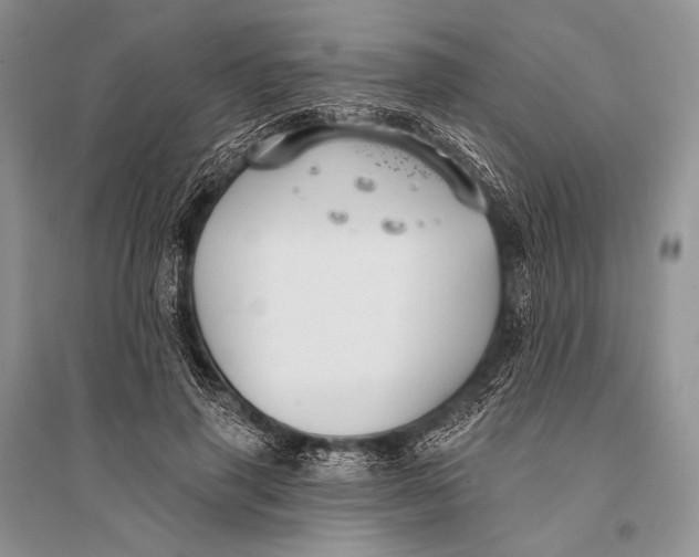 X0000094920645200712201221