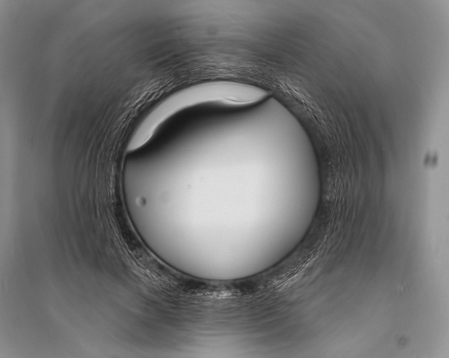 X0000094920646200712201221