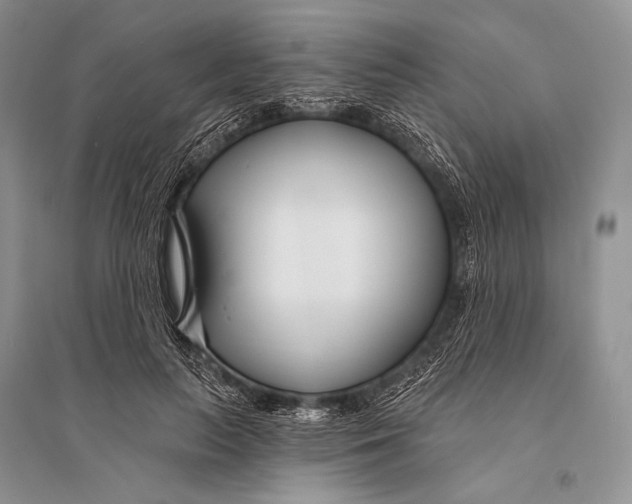 X0000094920647200712201221