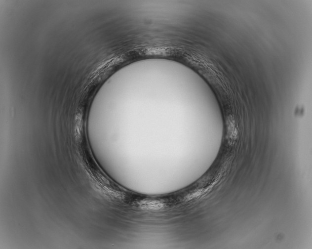 X0000094920648200712201221