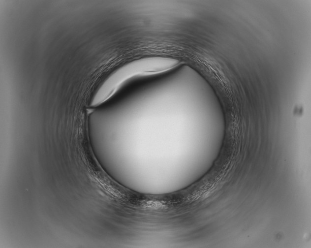 X0000094920649200712201221