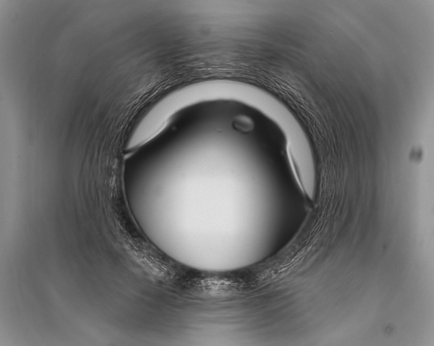 X0000094920650200712201221