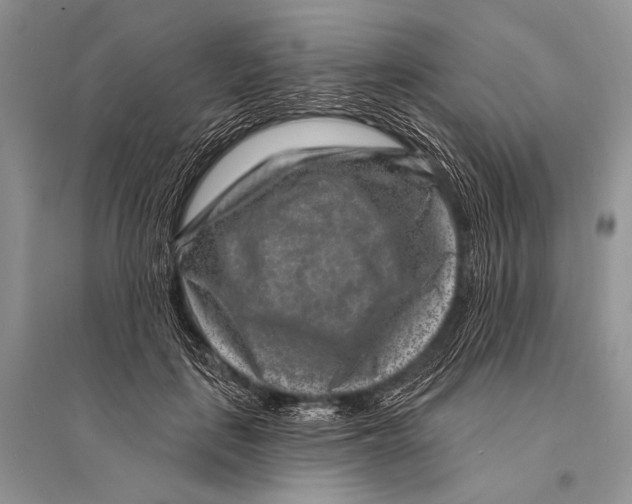 X0000094920651200712201221