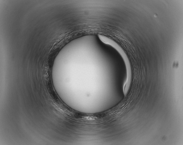 X0000094920654200712201221