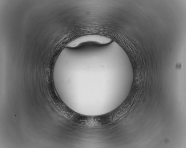 X0000094920656200712201221