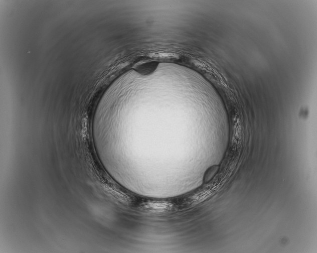 X0000094920659200712201221