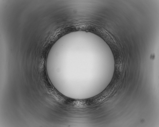 X0000094920660200712201221