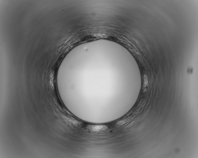 X0000094920663200712201221