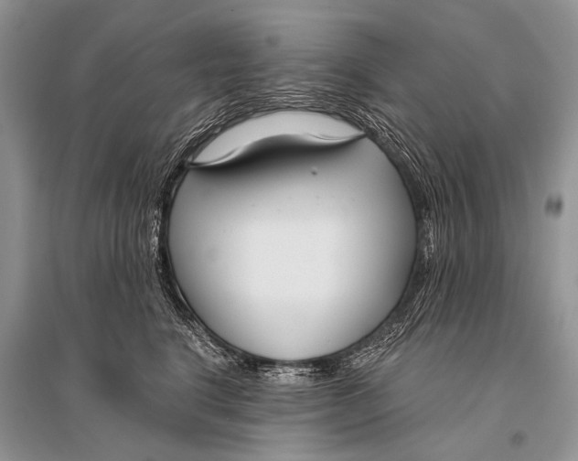 X0000094920664200712201221