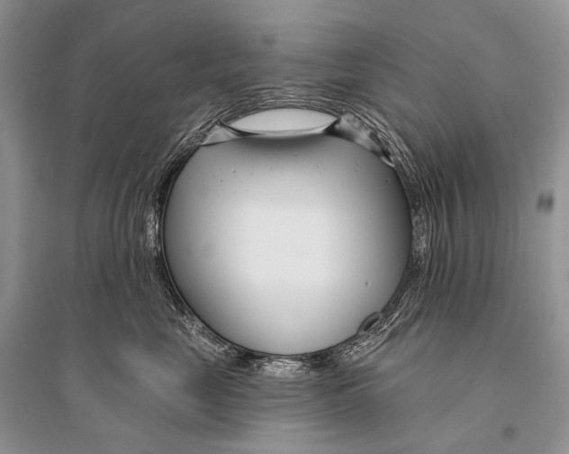 X0000094920669200712201221