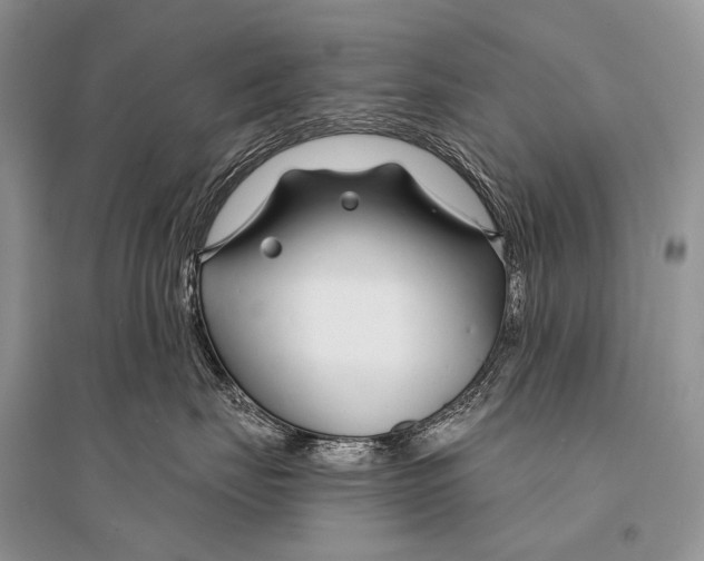 X0000094920671200712201221