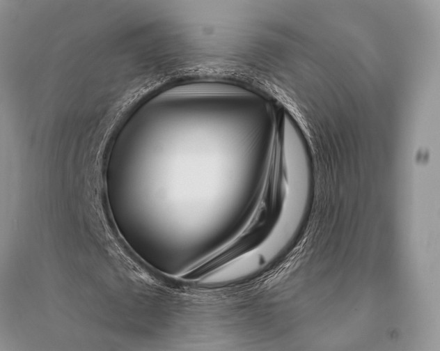 X0000094920673200712201220