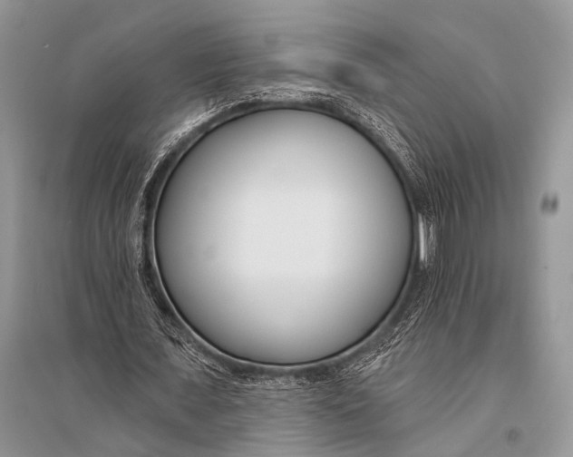 X0000094920675200712201220