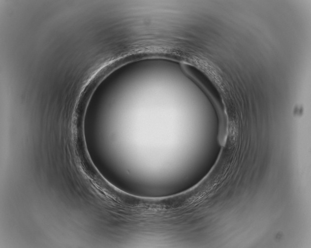 X0000094920676200712201220