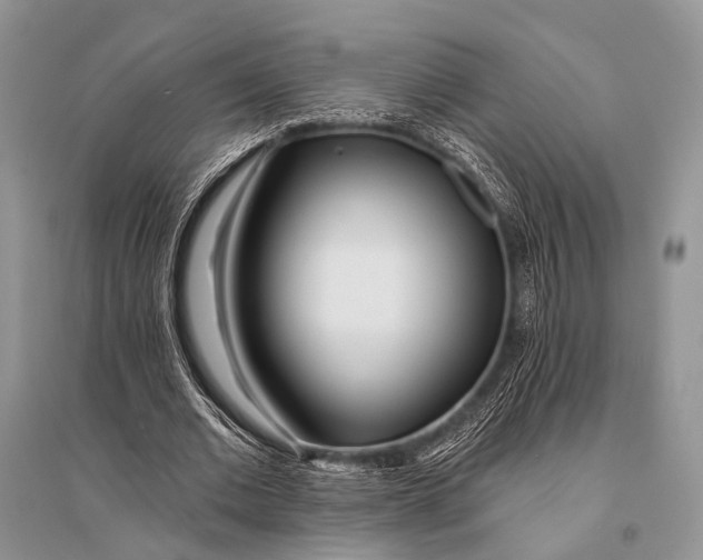 X0000094920677200712201220