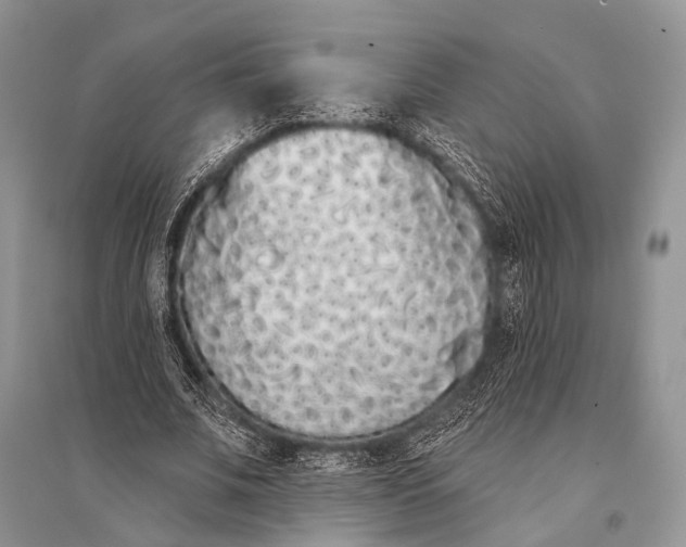 X0000094920679200712201220