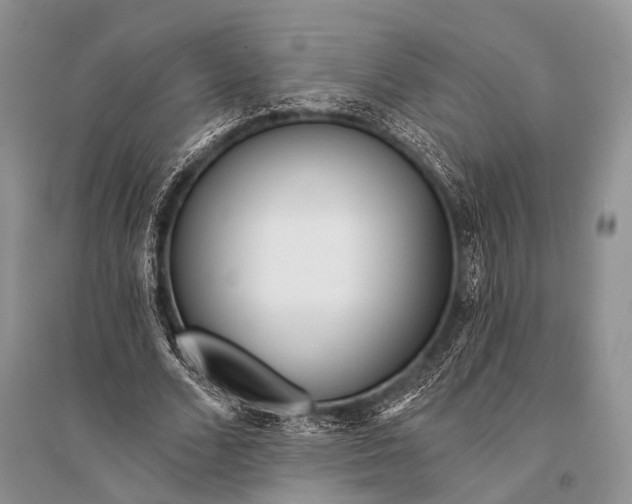 X0000094920680200712201220