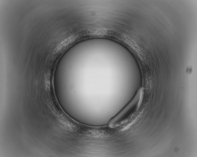 X0000094920681200712201220