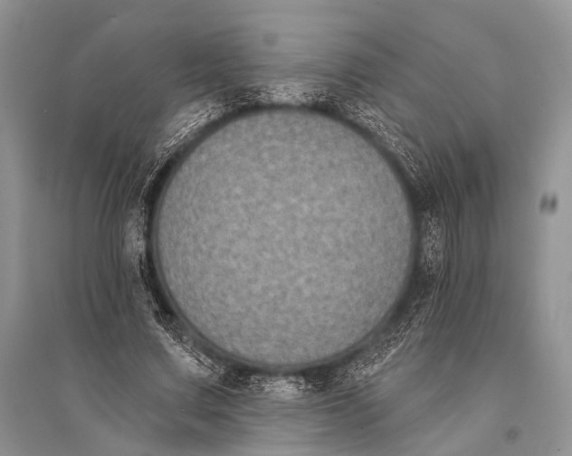 X0000094920683200712201220