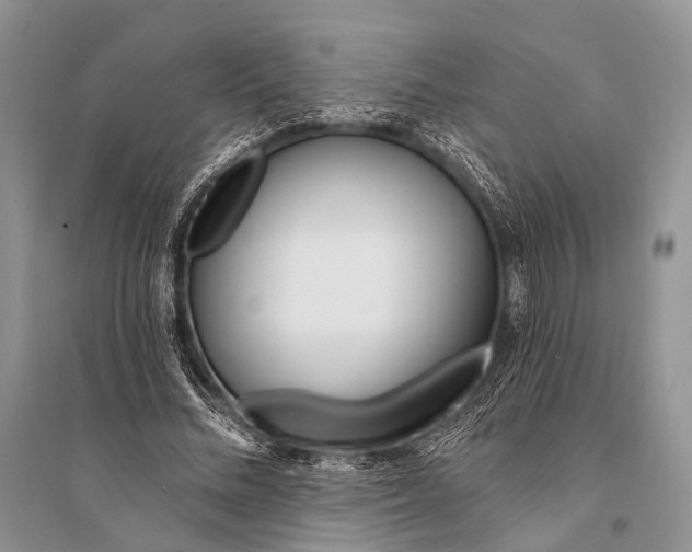 X0000094920684200712201220