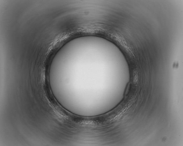 X0000094920685200712201220
