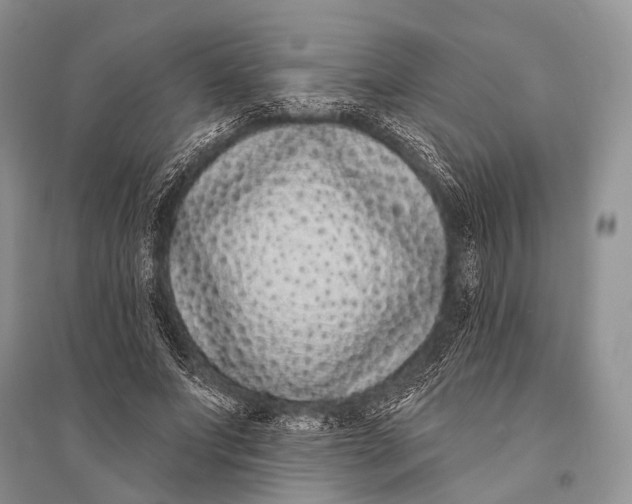 X0000094920687200712201220