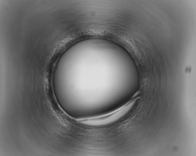 X0000094920688200712201220