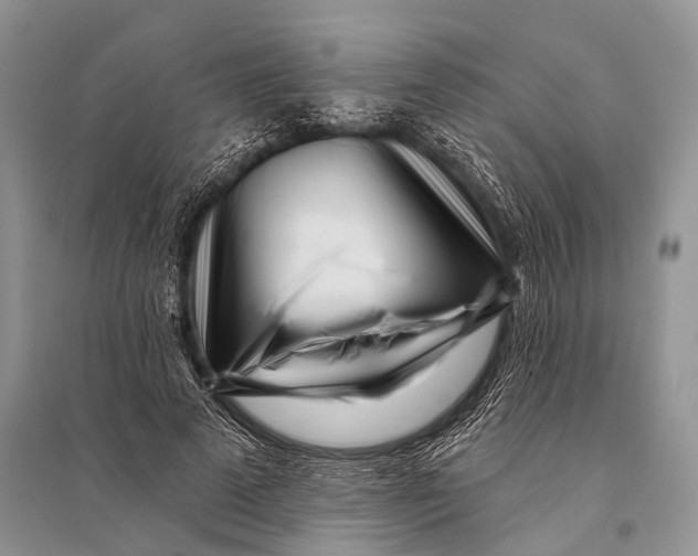 X0000094920689200712201220