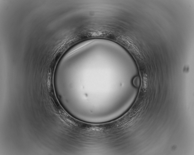 X0000094920691200712201220
