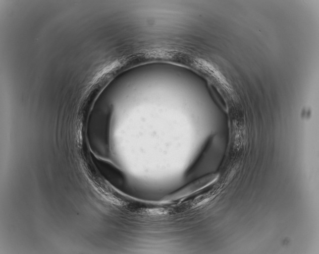 X0000094920692200712201220