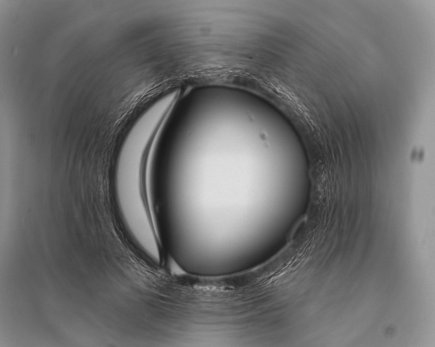 X0000094920693200712201220