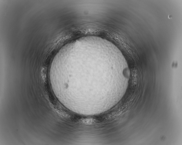 X0000094920695200712201220