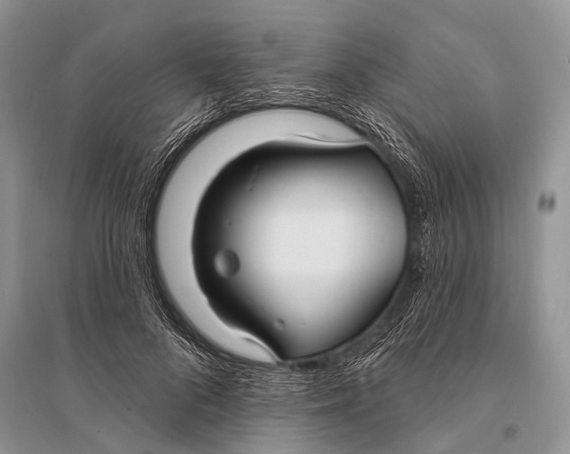 X0000094920696200712201220