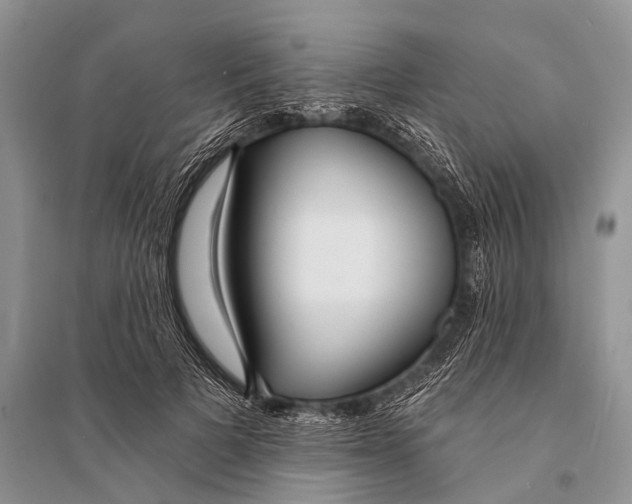 X0000094920697200712201220