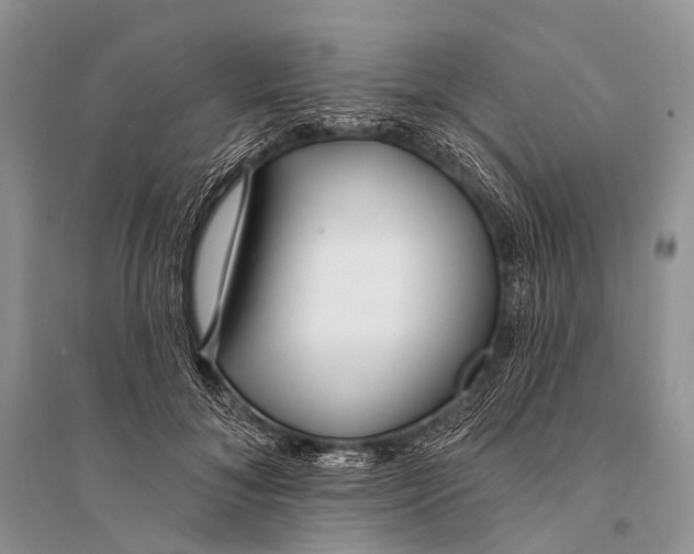 X0000094920700200712201220