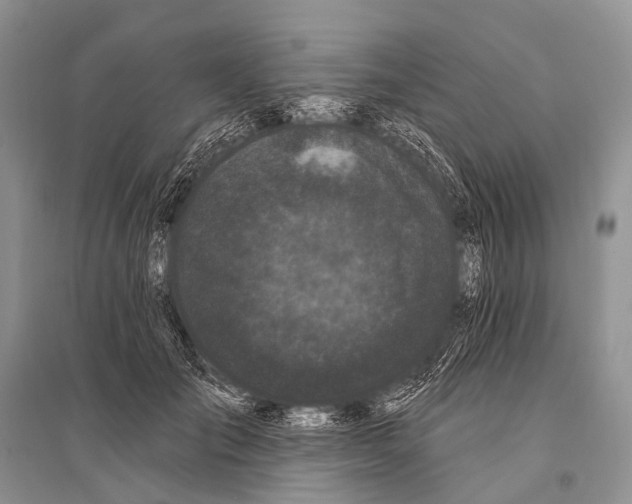 X0000094920701200712201220