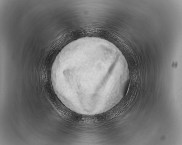 X0000094920703200712201220