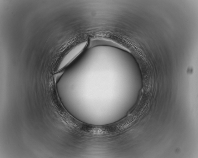 X0000094920704200712201220