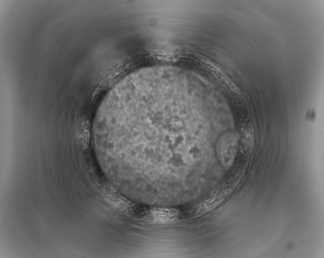 X0000094920707200712201220