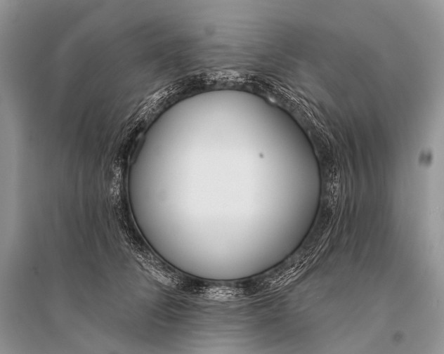 X0000094920708200712201220